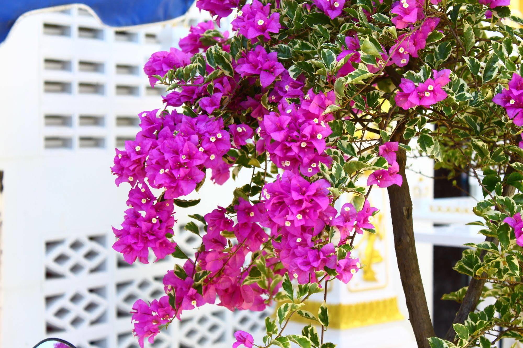 Pk Residence Phuket Dış mekan fotoğraf